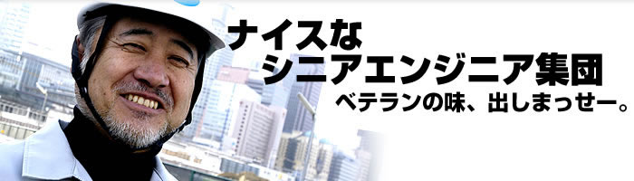 株式会社シニアテック：コンクリート構造物の劣化診断、非破壊検査、デキスパート認定販売店、電子納品支援、ＣＡＤ支援
